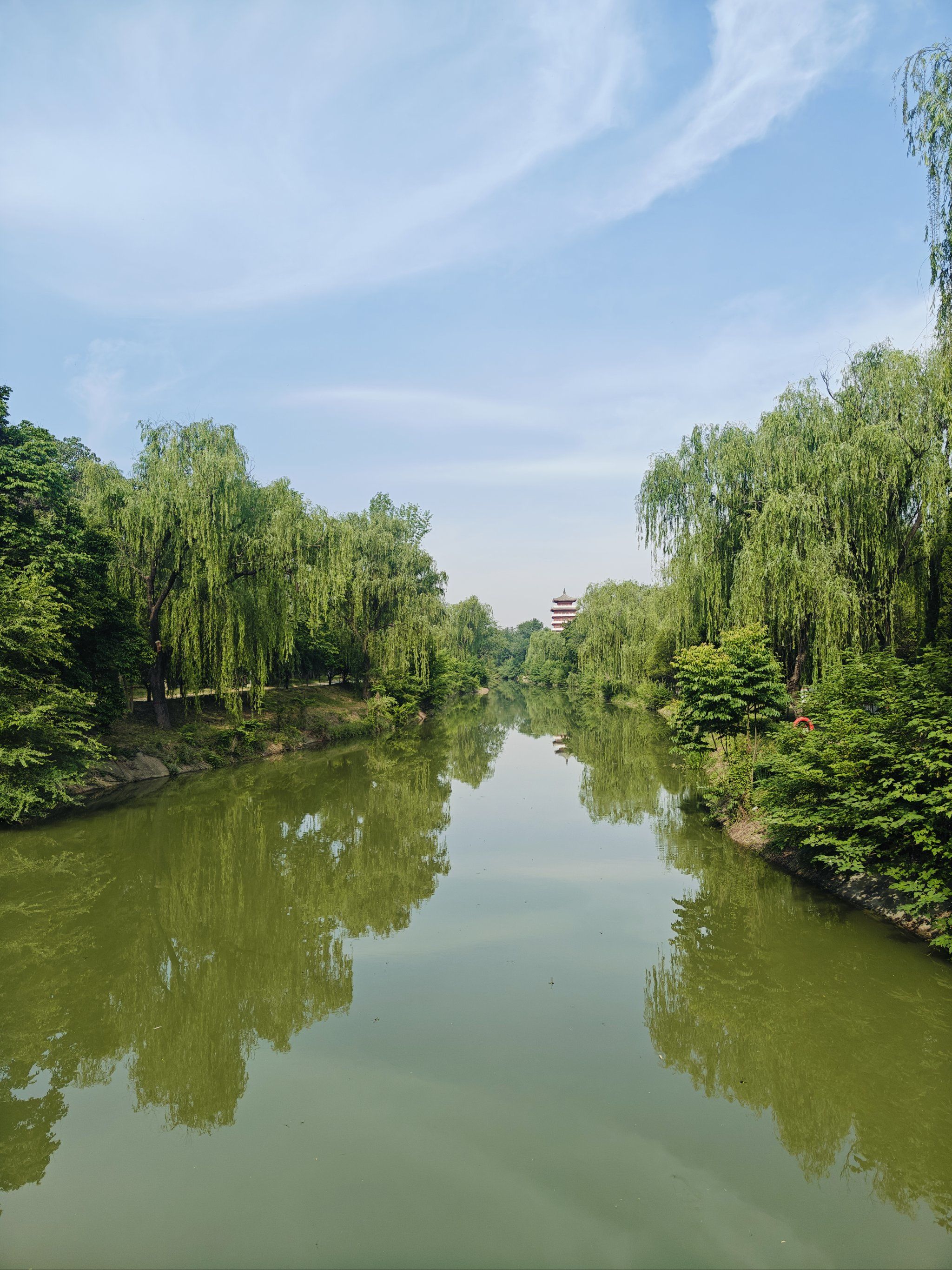 享受季节的轻抚——思念果岭