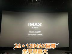 -幸福蓝海国际影城(芜湖IMAX店)