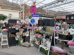 -京北渔家傲