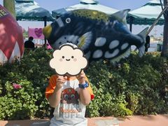 -秦皇岛乐岛海洋王国