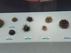 -陕西自然博物馆