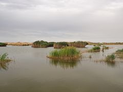 -亿利库布其七星湖沙漠生态旅游区