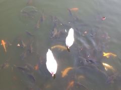 -北京民族园葉子里酒店(鸟巢店)