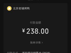 -北京老铺烤鸭(第五国际店)
