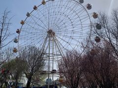 -西安浐灞国家湿地公园