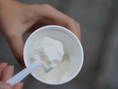 -洪馨椰子