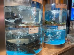 -老船舫·现做活鲜鱼馆(东郊记忆店)