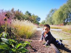 -永定河休闲森林公园
