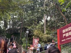 -灵顺寺
