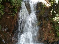 -羚羊峡古栈道森林公园