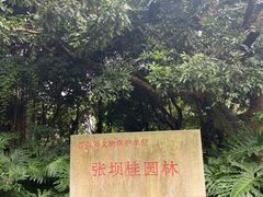 -张坝桂圆林公园