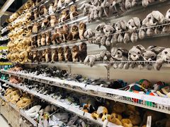 -宜家家居(哈尔滨商场店)