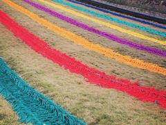 -梦幻奥陶纪景区