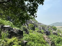 -玉石林风景区