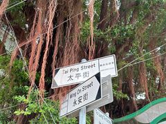 -大澳