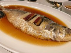 酒蒸鲥鱼-蝶园·装修中(BFC外滩金融中心店)