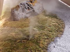 大堂-Seesaw Coffee(朝阳大悦城店)