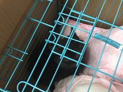 -惠康宠物医院(华能路店)