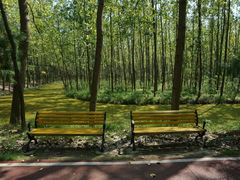 -合肥滨湖国家森林公园