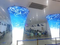 -深海中餐厅(国家海洋博物馆店)