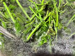 -墨江小城故事餐厅