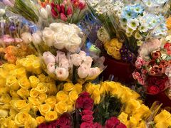 -循礼门鲜花花市(武汉循礼门店)