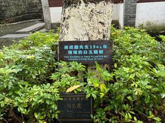 -蒋经国旧居
