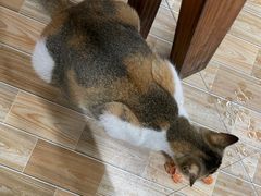 -潮汕美食.厚弥粥(白石洲店)