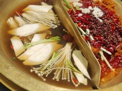 菌汤鸳鸯锅-沸炉重庆老火锅(军事博物馆店)