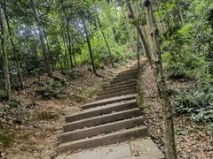 -凤栖山
