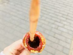 -和禄德冰糖葫芦