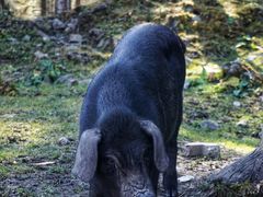 -硗碛藏寨·神木垒景区