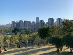 -牛岗山公园