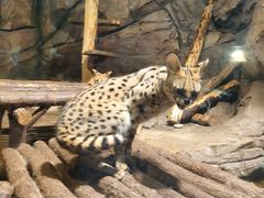 -波塞冬旅游度假区