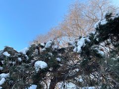 -北陵公园
