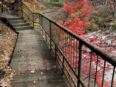 -洛阳白云山景区