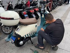 -绿源电动车(普陀专卖店)