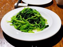 清炒鸡毛菜-金枝玉叶上海人家食府(三里河店)