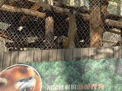 -北京野生动物园