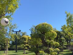 -西海子公园