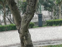 -纪念孙中山市政公园