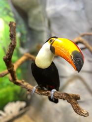 -Zoolung Zoolung动物主题公园(海信广场店)