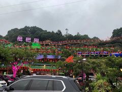 -枇杷园食为鲜火锅(南山店)