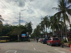 -万绿园