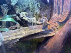 -酷嗒动物文化乐园(cutezoo西溪乐天城店)