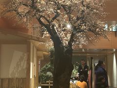 -北方暖暖温泉洗浴(沈阳北站店)