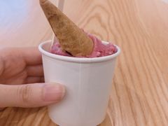 -歎雪糕低糖低脂Gelato冰淇淋