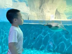 -泉城欧乐堡海洋极地世界