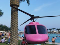 -秦皇岛乐岛海洋王国