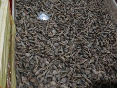 -济南海鲜大市场